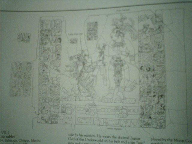 IMGA0368.JPG